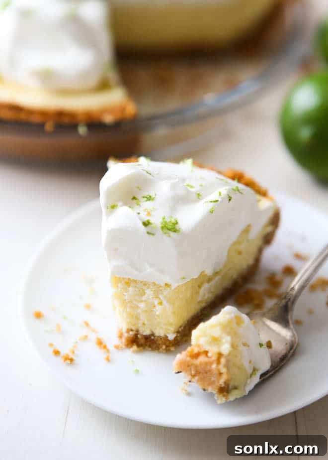 Overhead shot of a whole Tequila Key Lime Pie, garnished with fresh lime slices and macadamia nuts, showcasing its vibrant color and inviting texture.