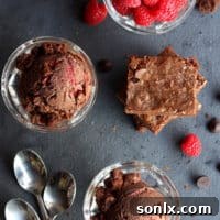 Raspberry Dark Chocolate Ice Cream with Brownie Chunks