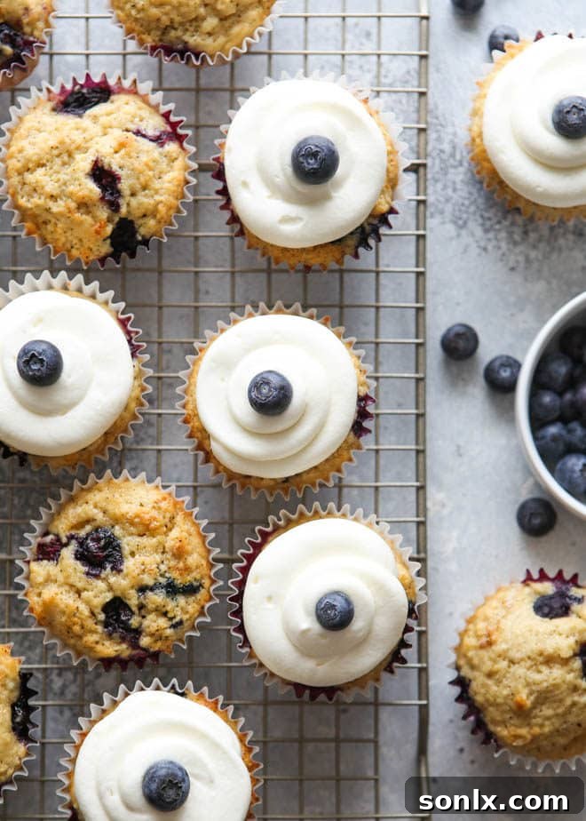 Closeup of three blueberry muffin cupcakes adorned with intricate swirls of lemon cream cheese frosting, presented beautifully on a white platter.