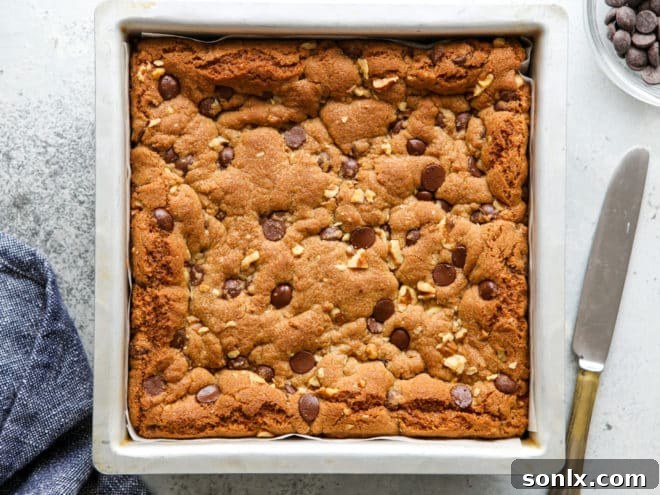 Baked whole wheat chocolate chip cookie bars cooling in a square pan, showing a golden brown top.