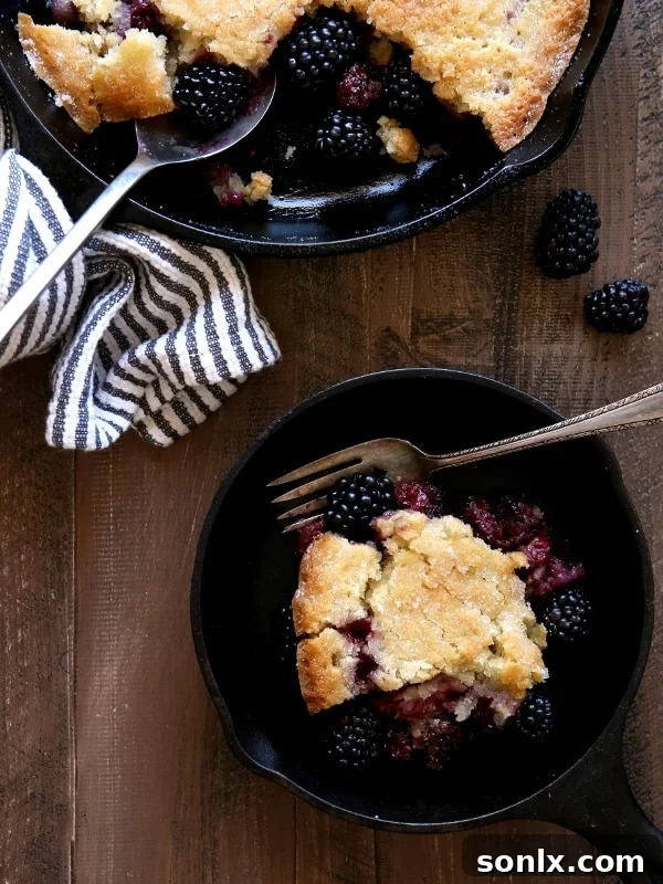 Pioneer Woman's Blackberry Cobbler - easy, delicious fresh fruit dessert