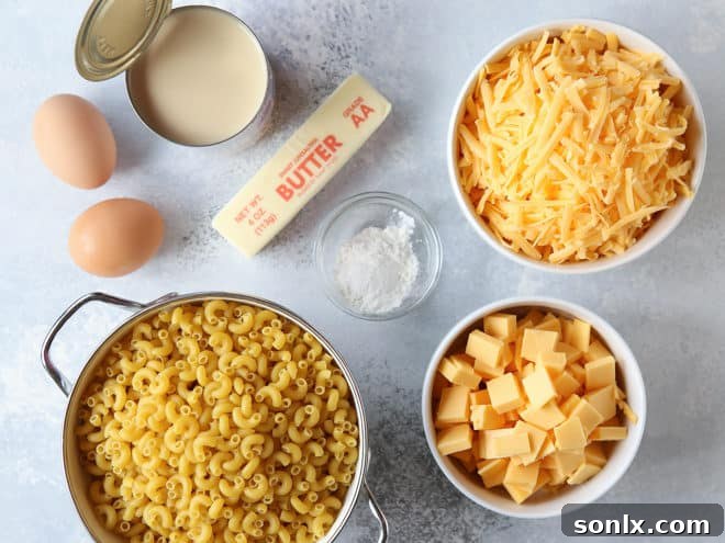 Ingredients for the easiest stovetop mac and cheese