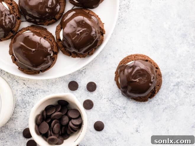 chocolate marshmallow cookies on a festive plate with extra chocolate chips