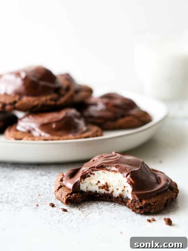 a delicious chocolate marshmallow cookie with a bite taken out, revealing the gooey center
