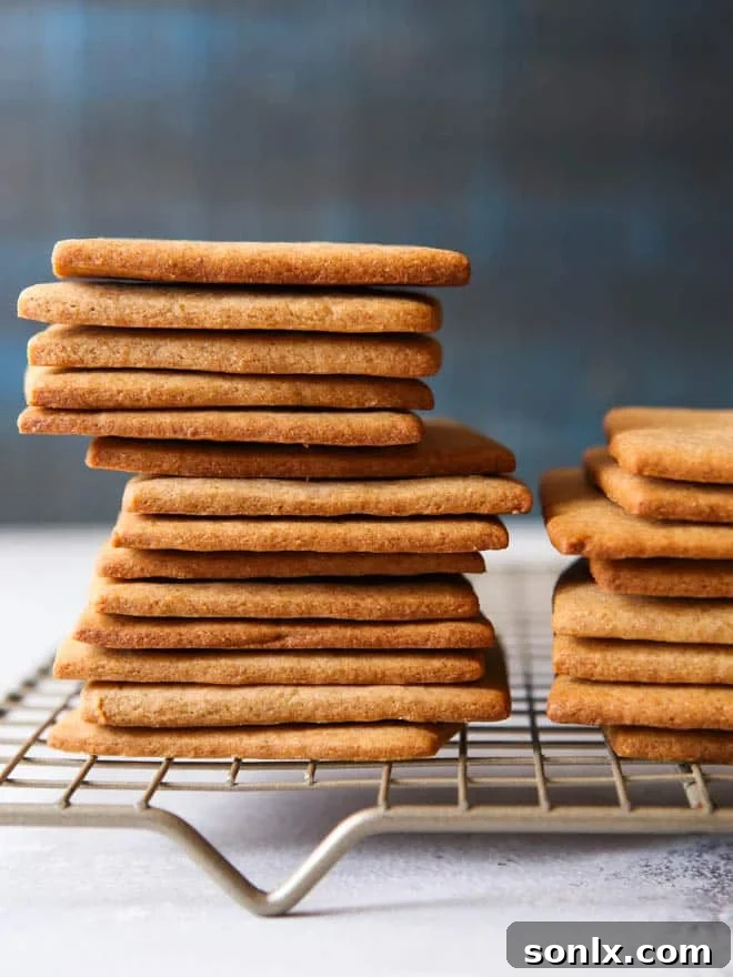 Graham Cracker and Frosting Sandwiches | A Simple Childhood Treat