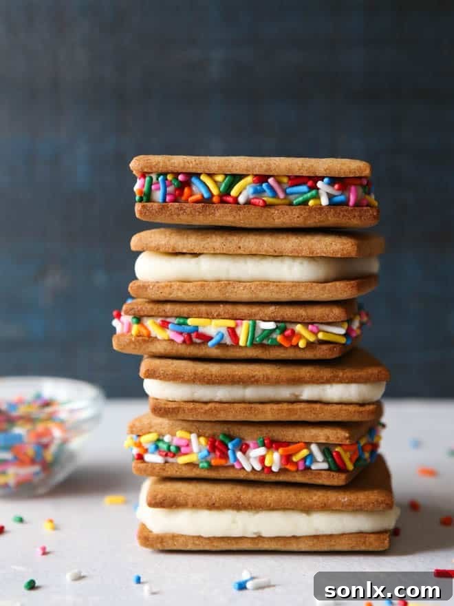 Graham Crackers and Frosting | completelydelicious.com