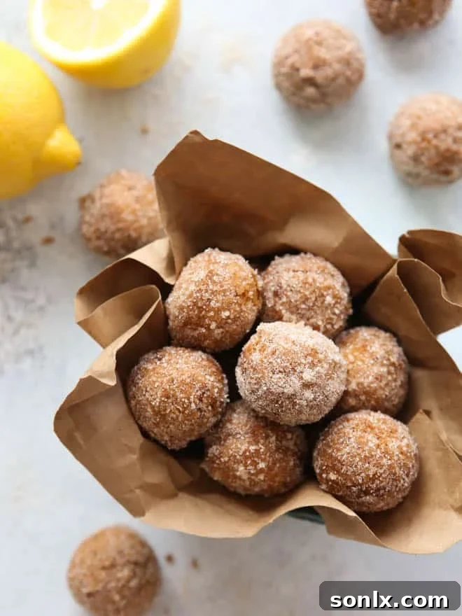 Lemon Cinnamon-Sugar Doughnut Holes - A delightful homemade treat