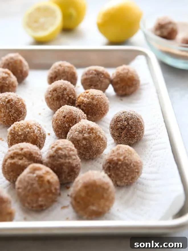 Pile of Lemon Cinnamon-Sugar Doughnut Holes, ready to eat