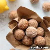 Lemon Cinnamon-Sugar Doughnut Holes, recipe card image