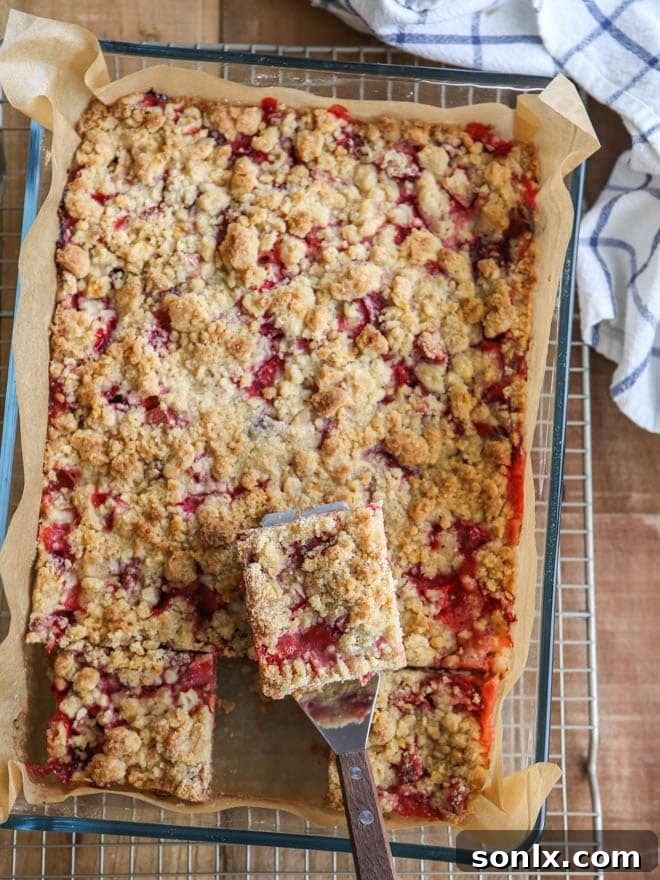 A single strawberry rhubarb crumb bar on a plate, showcasing the fruit filling