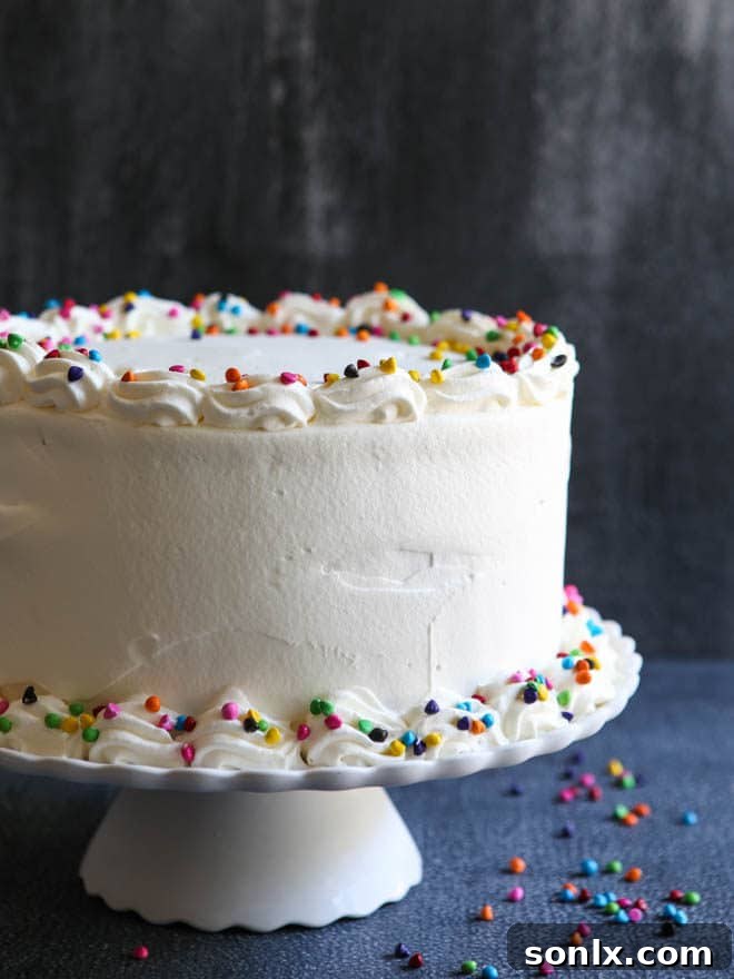A beautifully decorated Chocolate Rainbow Ice Cream Cake with festive sprinkles, showcasing the vibrant colors.