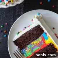 Fun and festive Chocolate Rainbow Ice Cream Cake!