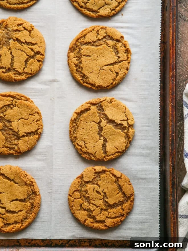 Freshly baked gingersnap cookies, golden brown and perfectly puffed, cooling on a baking sheet, showcasing their delicious texture and readiness for enjoyment.