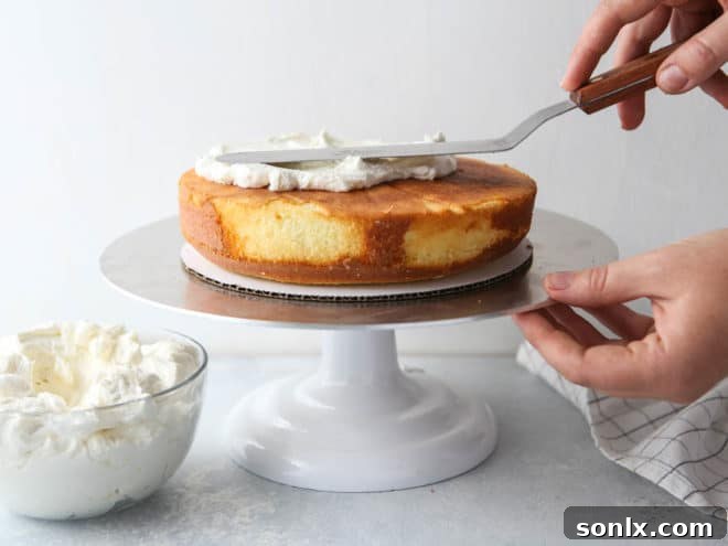 How to frost a layer cake - it's not that scary, I'll show you how!