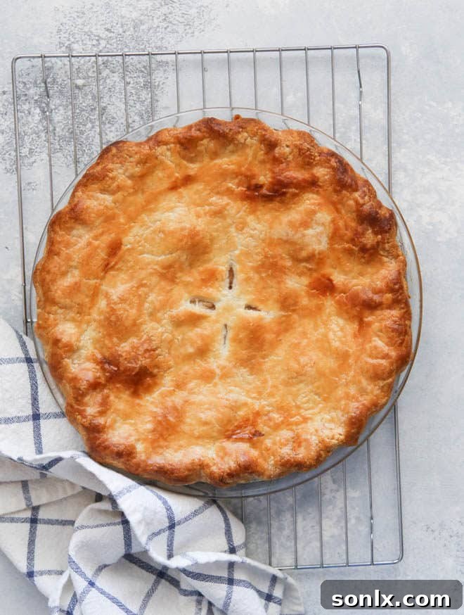 A bubbling fruit pie filling, indicating it's done baking and perfectly set.