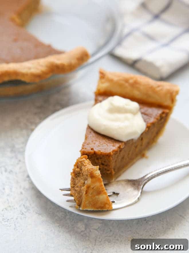 The bottom of a perfectly baked, golden-brown pie crust, free of sogginess.