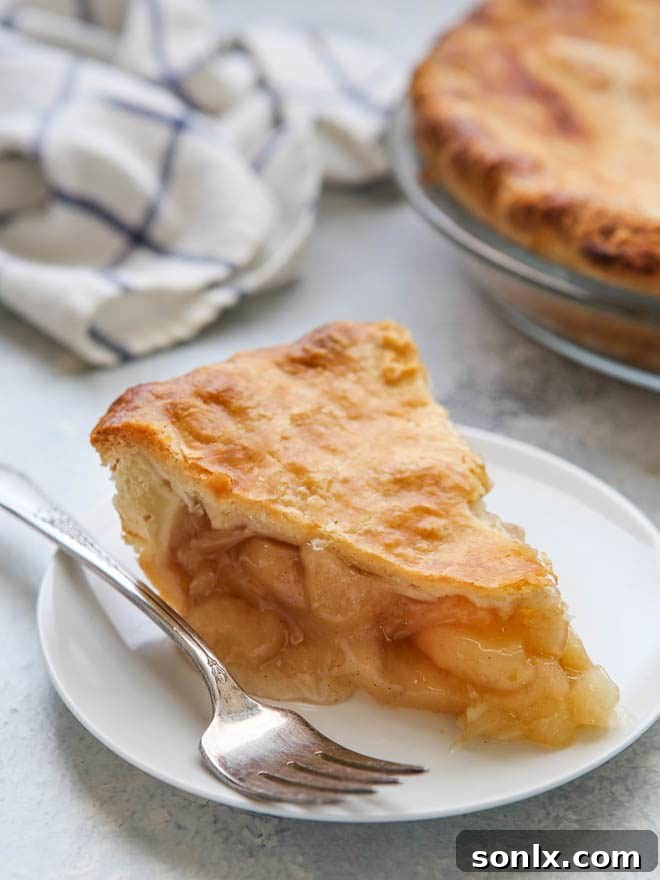 A slice of pie with a perfectly set, non-runny filling on a plate.