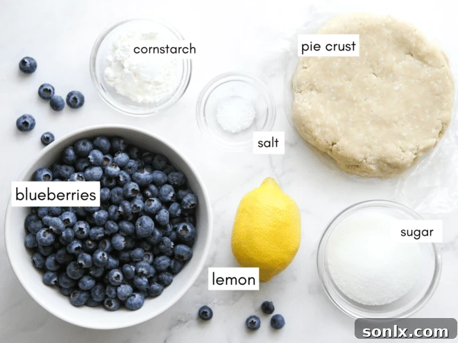 A flat lay photograph showcasing all the fresh ingredients needed for baking homemade blueberry hand pies, including blueberries, lemon, sugar, and flour.