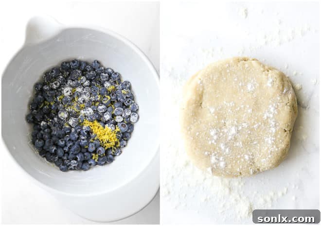 A bowl of thick blueberry pie filling sits beside a rolled-out pie crust on a kitchen counter, ready for assembly.