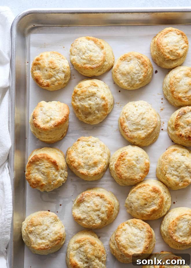 Host a Holiday Biscuit Bar with Cream Cheese Biscuits 4 A stack of perfectly baked cream cheese biscuits, ready to be served, highlighting their inviting aroma and rich texture.