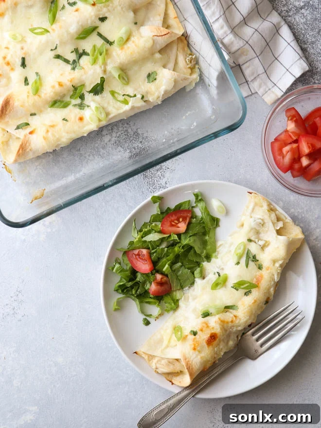 Delicious sour cream chicken enchiladas, a cherished family recipe