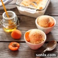 Roasted Apricot and Honey Ice Cream
