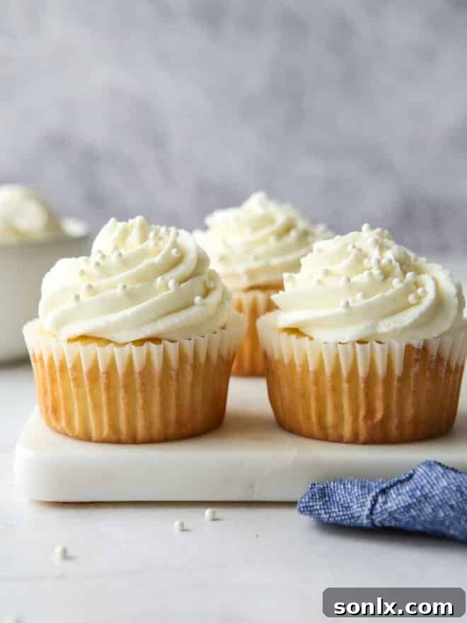 Beautifully decorated classic vanilla cupcakes with creamy white frosting, showcasing the rich vanilla flavor.