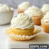 A finished vanilla cupcake with creamy frosting and vanilla bean flecks.