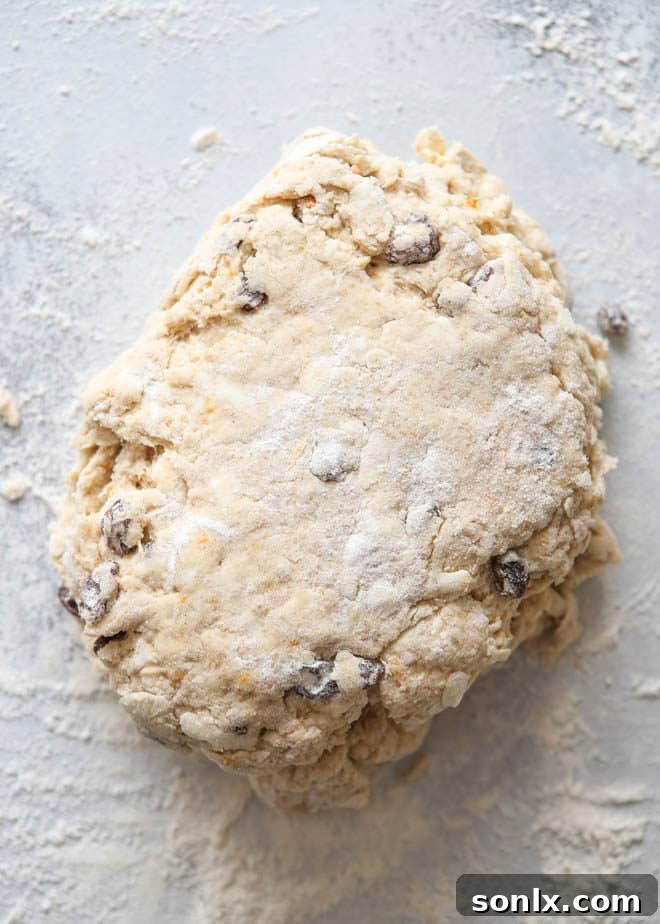 Close-up of hot cross biscuit dough before cutting, showing the moist texture and incorporated ingredients like raisins and orange zest