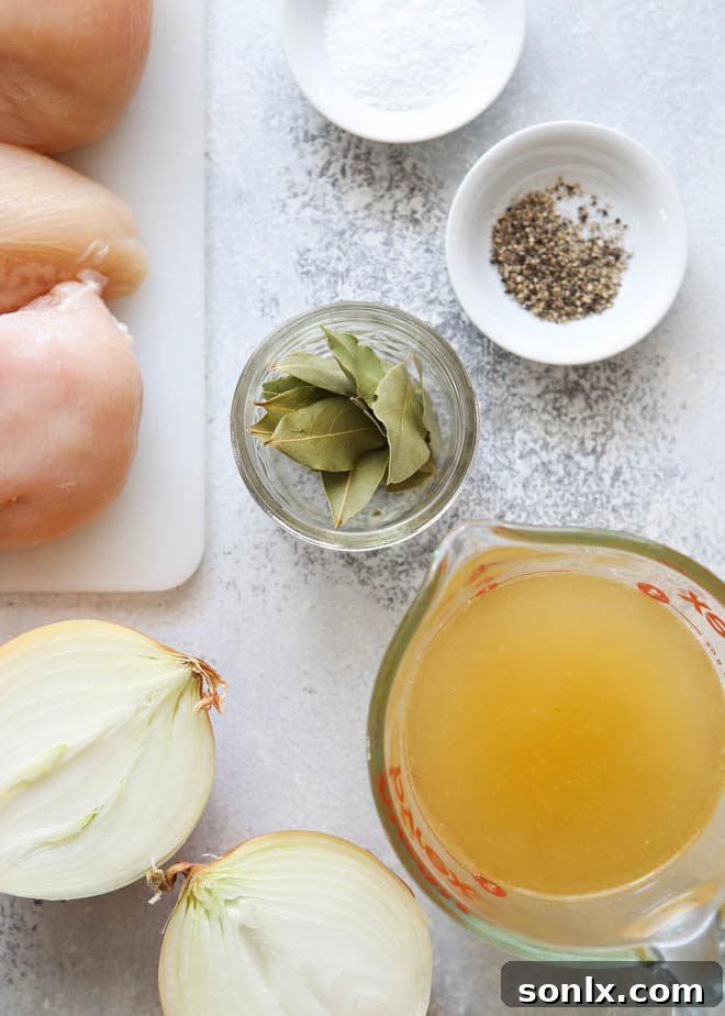 A few simple ingredients give shredded chicken lots of flavor