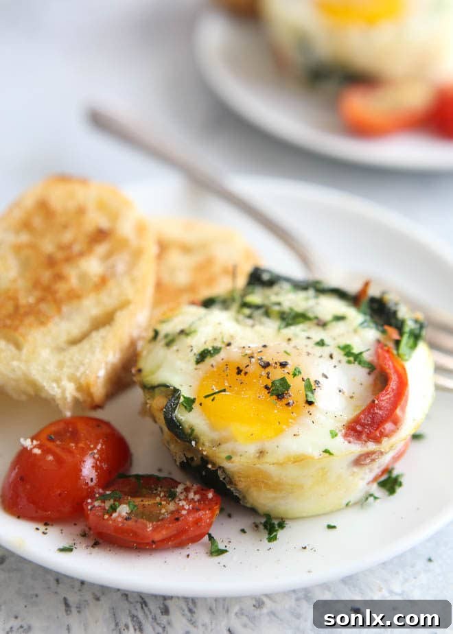 Baked egg cups with spinach and tomato, garnished and ready to serve for breakfast or brunch