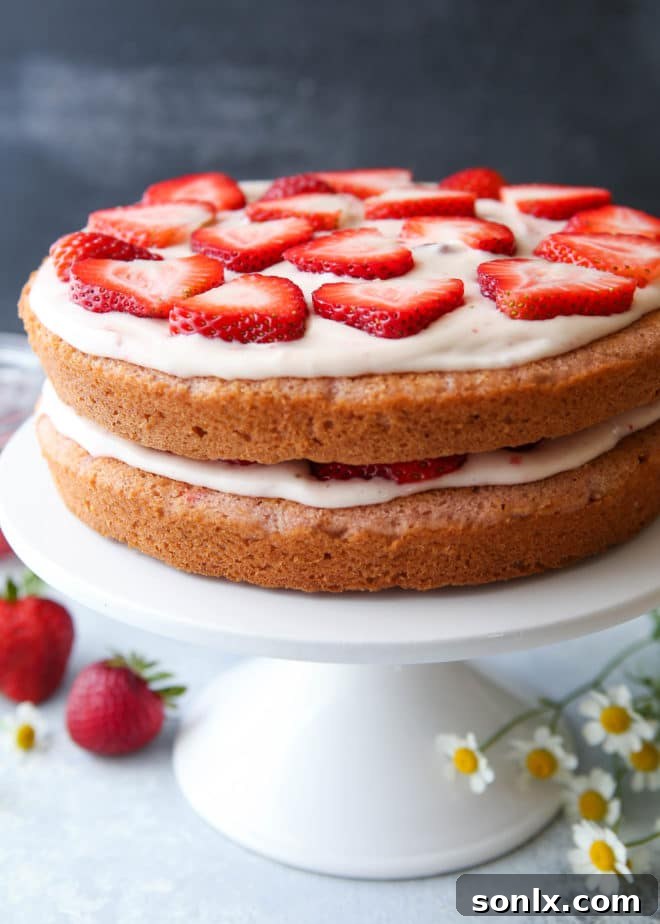 Homemade strawberry layer cake with fresh strawberries and cream cheese frosting