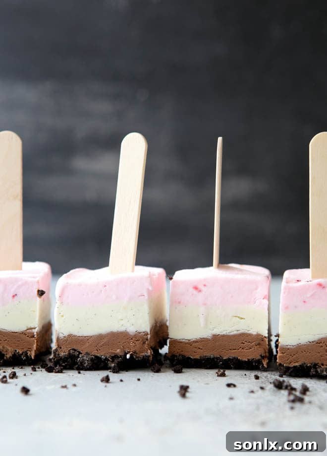 A single Neapolitan Ice Cream Pop, showcasing its vibrant three-flavor layers and cookie base on a wooden stick, ready to be eaten