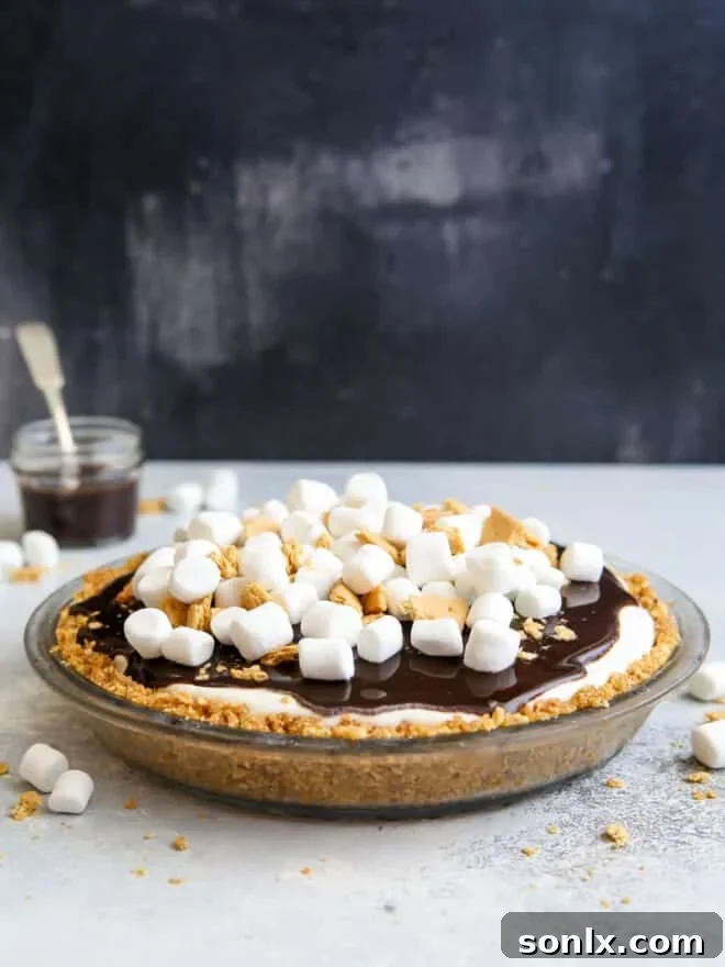 Toasted Marshmallow Ice Cream Pie 3 s'mores ice cream pie