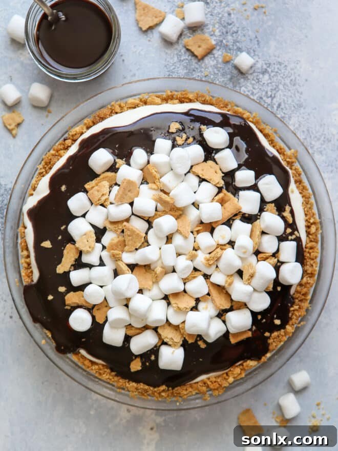 Toasted Marshmallow Ice Cream Pie 9 overhead view of s'mores ice cream pie