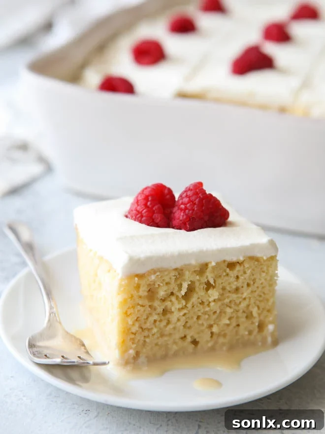 Classic tres leches is a simple but decadent dessert everyone will love!