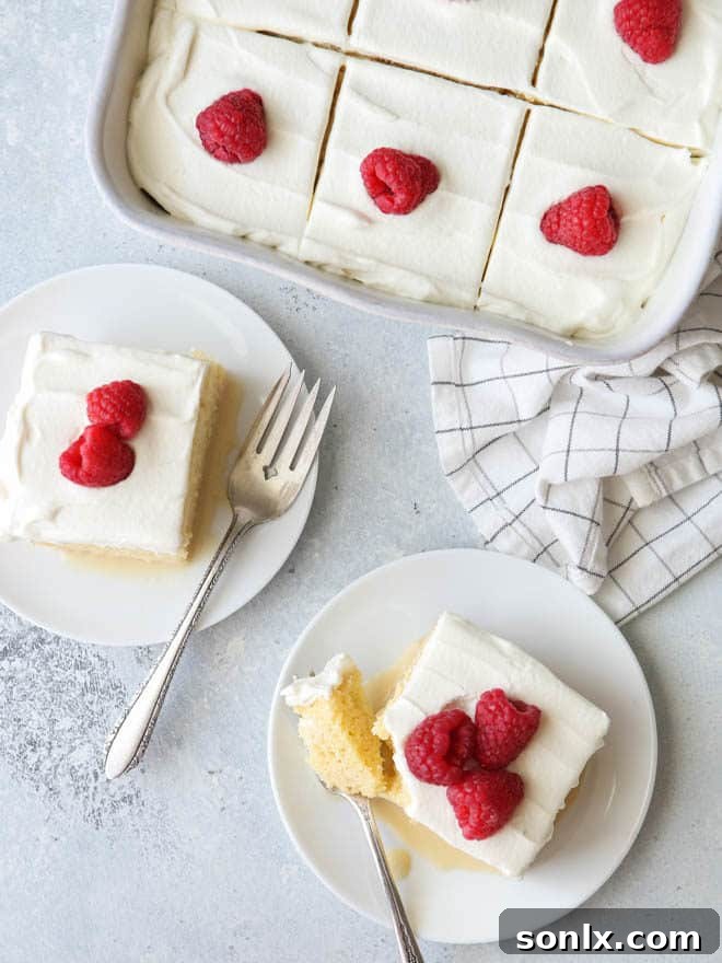 Classic tres leches is a simple but decadent dessert everyone will love!