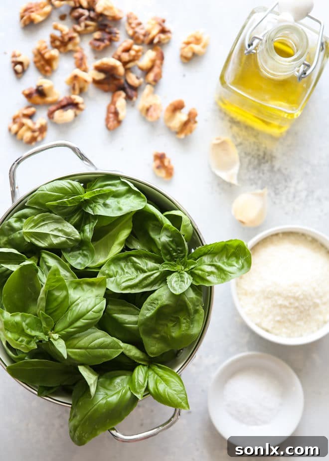 Ingredients for making basil walnut pesto including fresh basil, walnuts, Parmesan, garlic, and olive oil