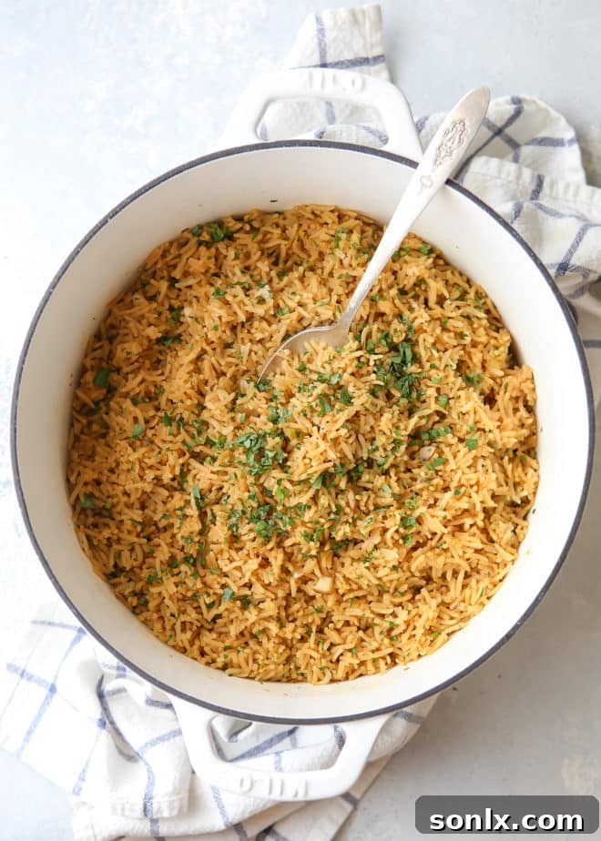 The best rice pilaf makes a great side dish!