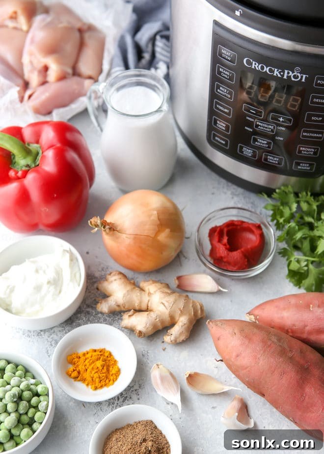 Close-up of pressure cooker chicken coconut korma curry
