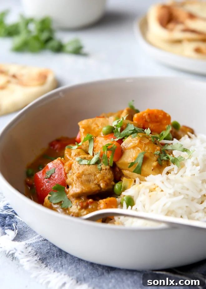 Pressure cooker korma served with rice and cilantro