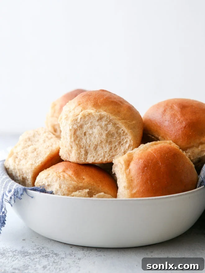 These honey whole wheat rolls are light and tender, with great flavor!