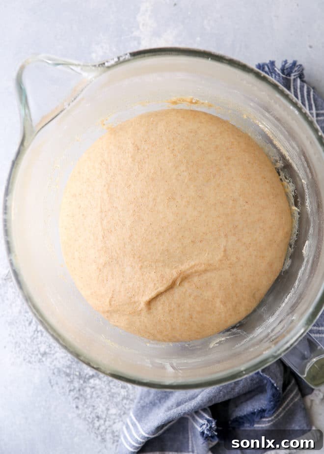 Honey whole wheat dinner rolls in the making