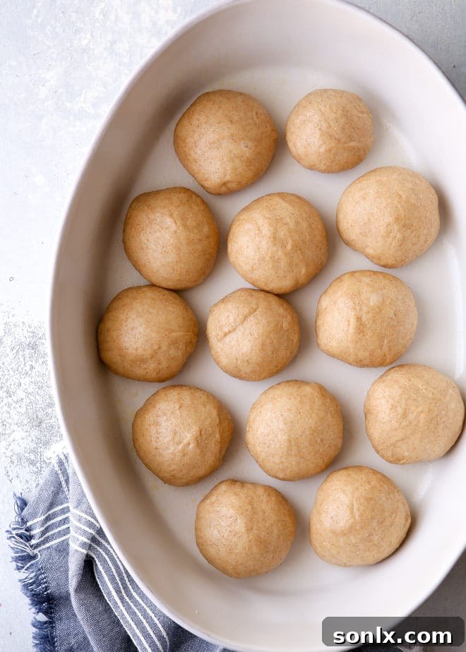 Shaped honey whole wheat rolls