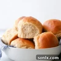 Light and tender honey whole wheat dinner rolls