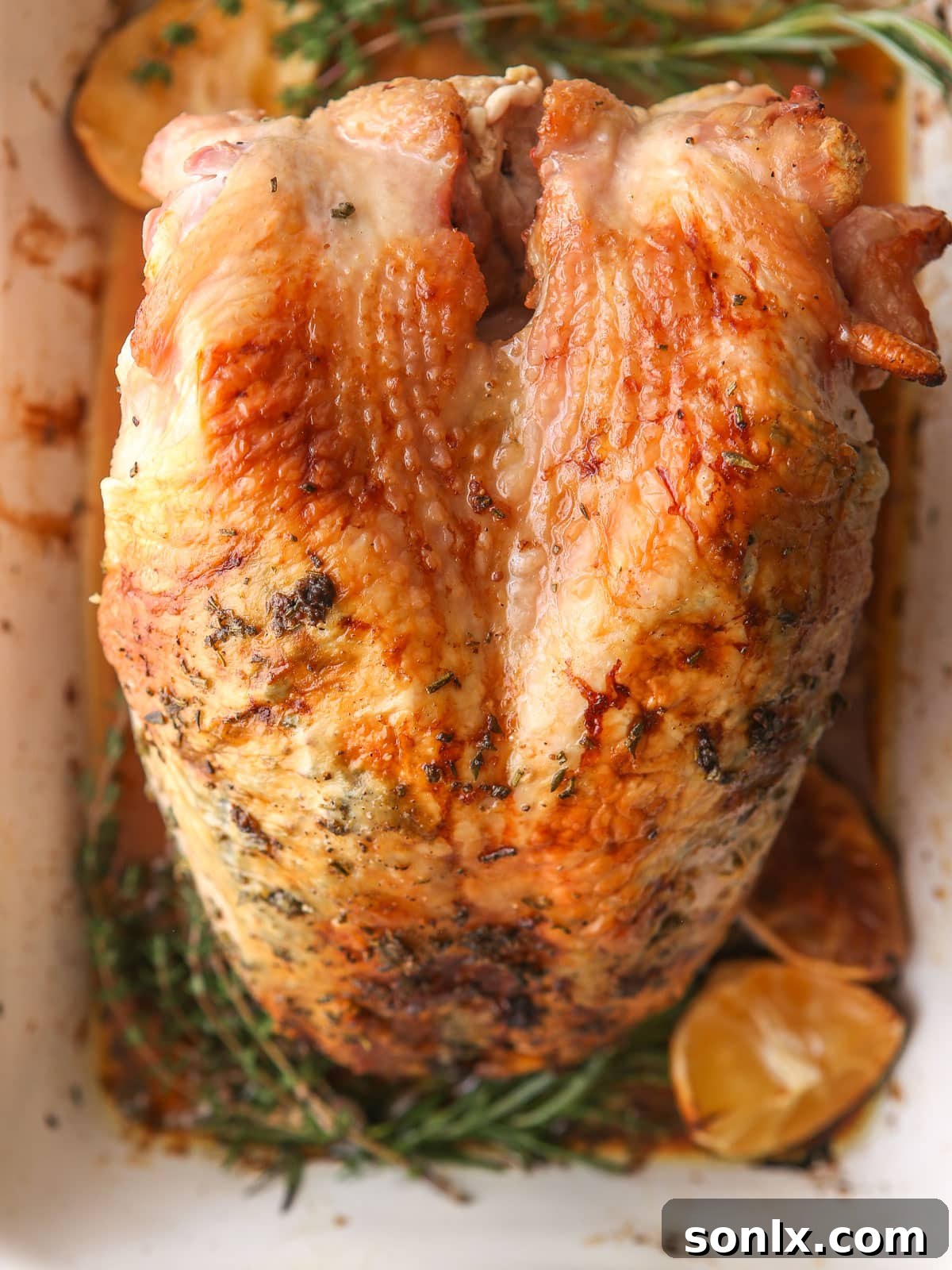 Crispy-skinned, perfectly roasted turkey breast in a roasting pan, ready to be removed from the oven.