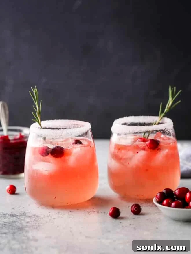cranberry gin fizz cocktails ready for sipping