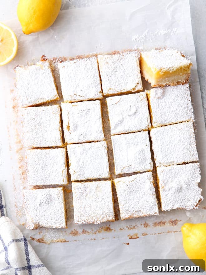 The vibrant yellow lemon filling contrasting beautifully with the golden shortbread crust, topped with powdered sugar.