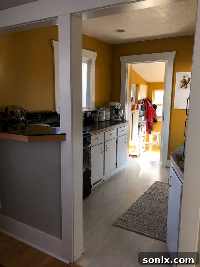 Completely Delicious Kitchen - Before Renovation Begins