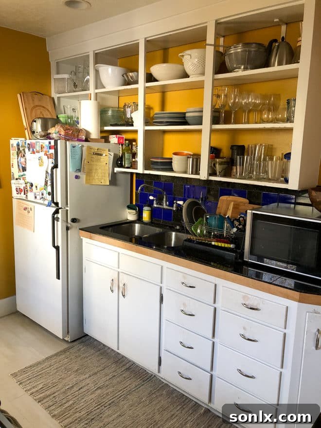 Completely Delicious Kitchen - Dated Before Photos